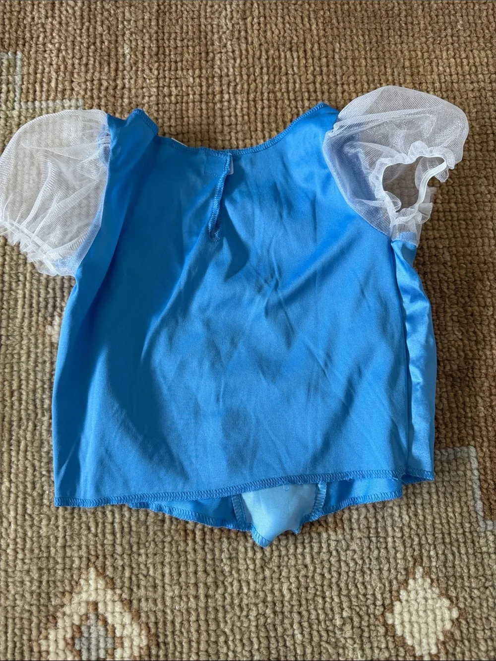 Cinderella Two Piece Costume